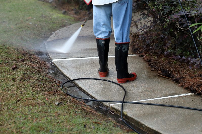 Spring Cement Cleaning