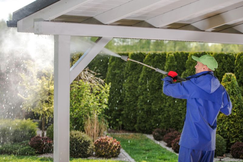 Patio Cleaning